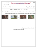 آزمونک کاردرخانه درس علوم تجربی درس 12: جنگل برای کیست؟ پایه ششم دبستان همراه با پاسخنامه تشریحی