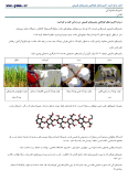 سوالات برتر | سامانه جامع نمونه سوالات درسی